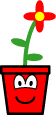 Funny flower pot