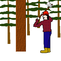 Working in the forest